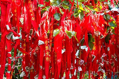 芒果视频污app站长统计：视频狂欢：数据解析，解锁热门秘境-1