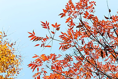 成人泡芙短视频app：“趣味短视频盛宴，个性化娱乐新潮流”-1