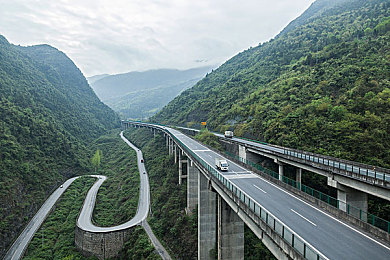 爱情岛论坛首页免费：爱情岛论坛开放新篇章：免费首页，互动更便捷，文化发展再添动力-1