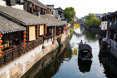 毛茸茸交配：神秘毛球繁衍秘境，探索自然奇观之旅