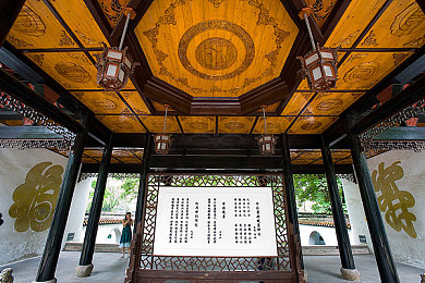 美性娱乐中文网：娱乐新纪元，美性风潮引领多元盛宴-3