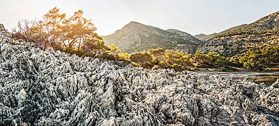 性亚洲精品：《荒野大镖客2》：西部传奇冒险，画面精美，玩法独特，攻略分享！