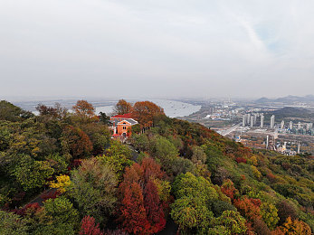 老师的兔子又大水又多：内容海洋中的SEO航标：海量精品，提升网站流量秘籍-2