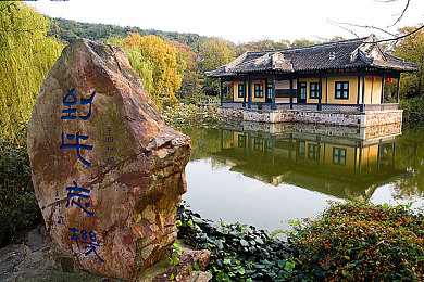 召唤的魅族是妈妈樱花动漫吗：魅族樱花动漫：梦幻画风与感人故事，引领年轻观众情感共鸣-1