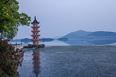 天涯pro官网色板免费版：色彩灵感无限，设计梦想启航