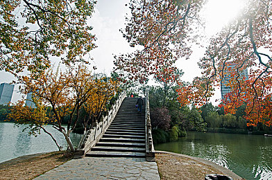 坤坤 进老师的句号里：探寻谜境，智慧启航：坤坤冒险之旅攻略揭秘-3