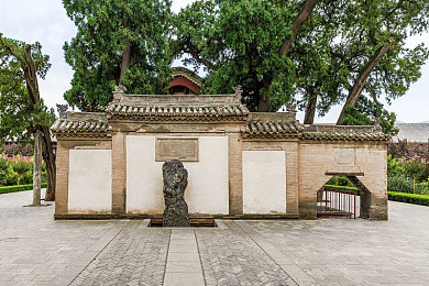 成人直播软件：净网风暴下的娱乐新航向，重塑直播生态，共筑清朗网络空间-1
