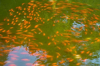 打屁股无内裤秘 ——Free：奇幻冒险新篇章：揭秘神秘游戏背后的宝藏传说与刺激玩法-2