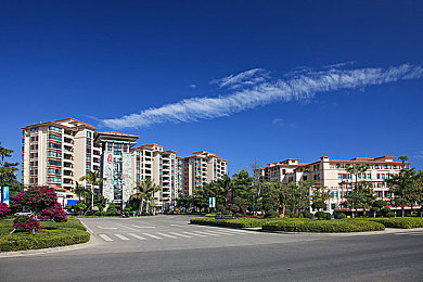 黄包软件：都市出行新选择：传统黄包车与现代科技的完美融合-1