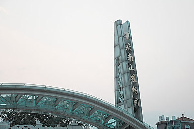 国产最新a：智领未来，个性化科技神器，体验非凡之旅
