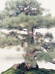 蜜桃传媒在线观看入口的广告活动：“蜜桃传媒广告盛宴，创意无限视觉冲击，引领行业潮流新体验”-3