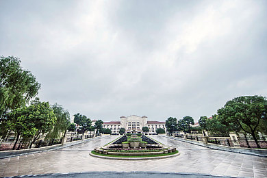 性欧美XXX老师护士：照亮心灵之光：守护成长，共创和谐之美-3