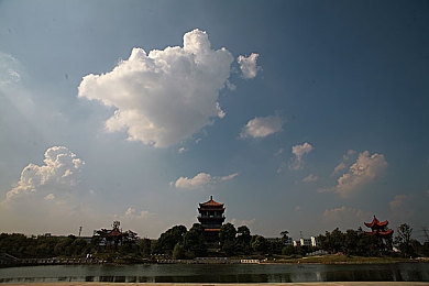 极端受虐狂：痛苦炼金术：揭秘心理韧性的独特优势之路-2