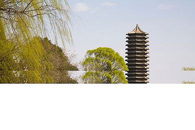 婷婷五月天六月丁香：花语迷宫，探秘浪漫花海之旅-1