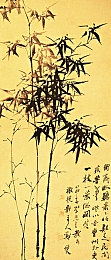 艾米直播：《梦幻仙境》直播探秘，艾米带你领略奇幻冒险之旅-3