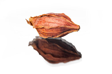苏蜜清歌：古风仙侠之旅：苏蜜清歌引领玩家探寻神秘幻仙界魅力-4